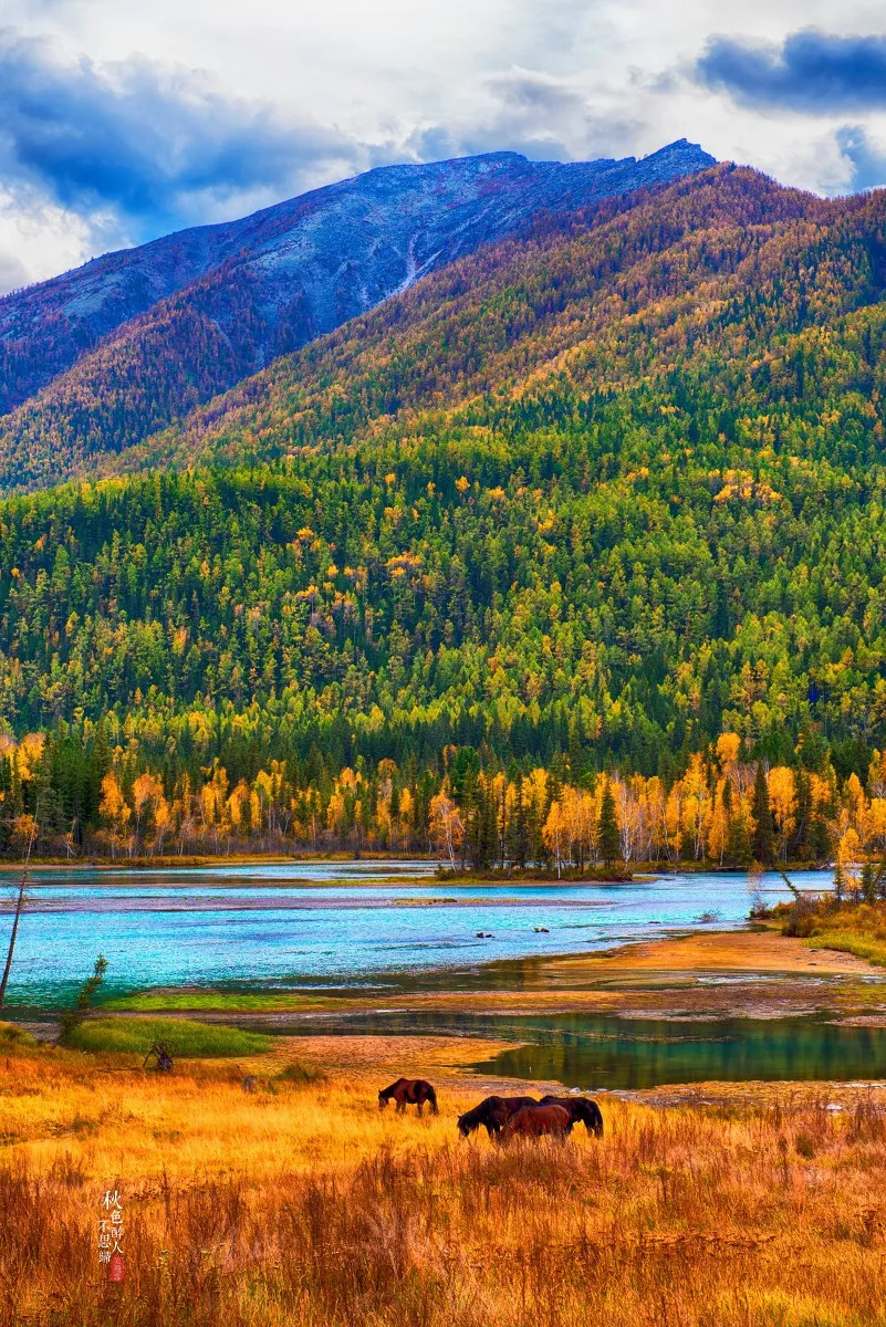 多元文化交融下的新疆地区发展研究