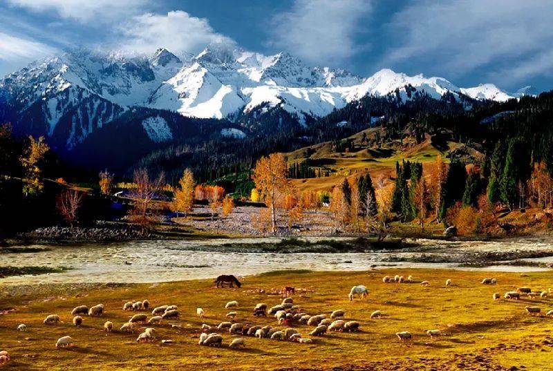 新疆，多元文化交融的和谐画卷